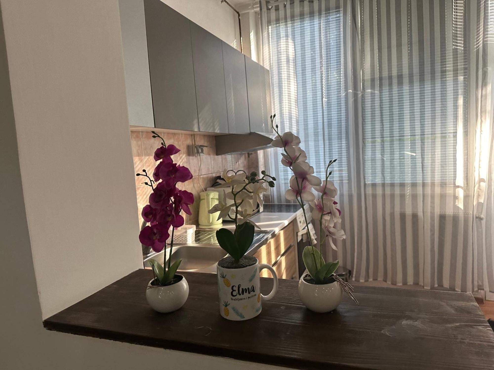 Elma Apartments سراييفو المظهر الخارجي الصورة